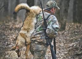 Smart Tips For Finding Hunting